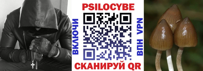 Псилоцибиновые грибы MAGIC MUSHROOMS Давлеканово