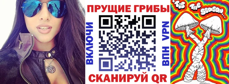 Псилоцибиновые грибы Psilocybe  мега как зайти  Давлеканово 